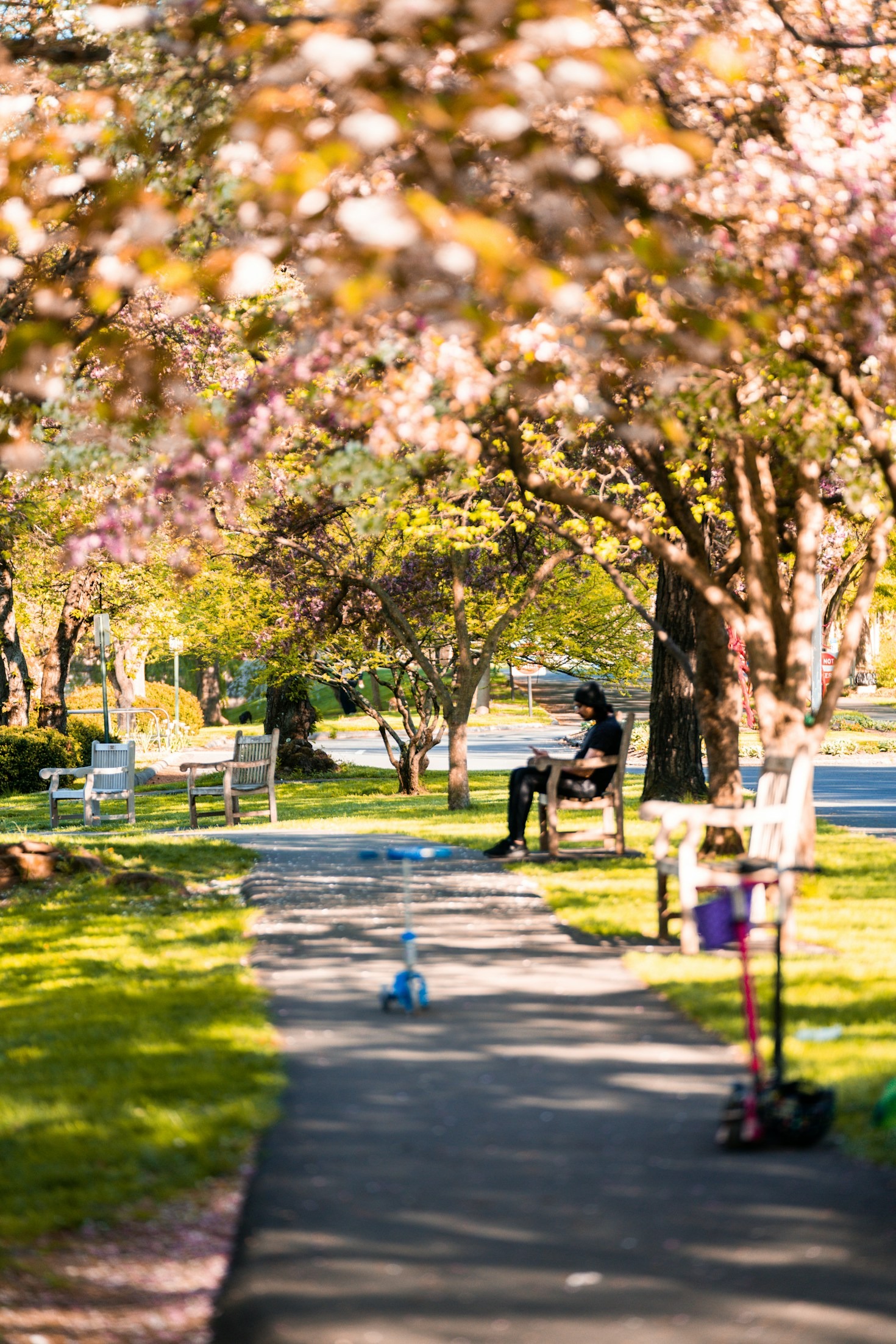 Small Changes, Big Impact: Simple Life Lessons Learned